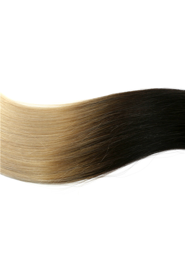 EMEDA Clip in Human Hair Extensions Ombre JF020